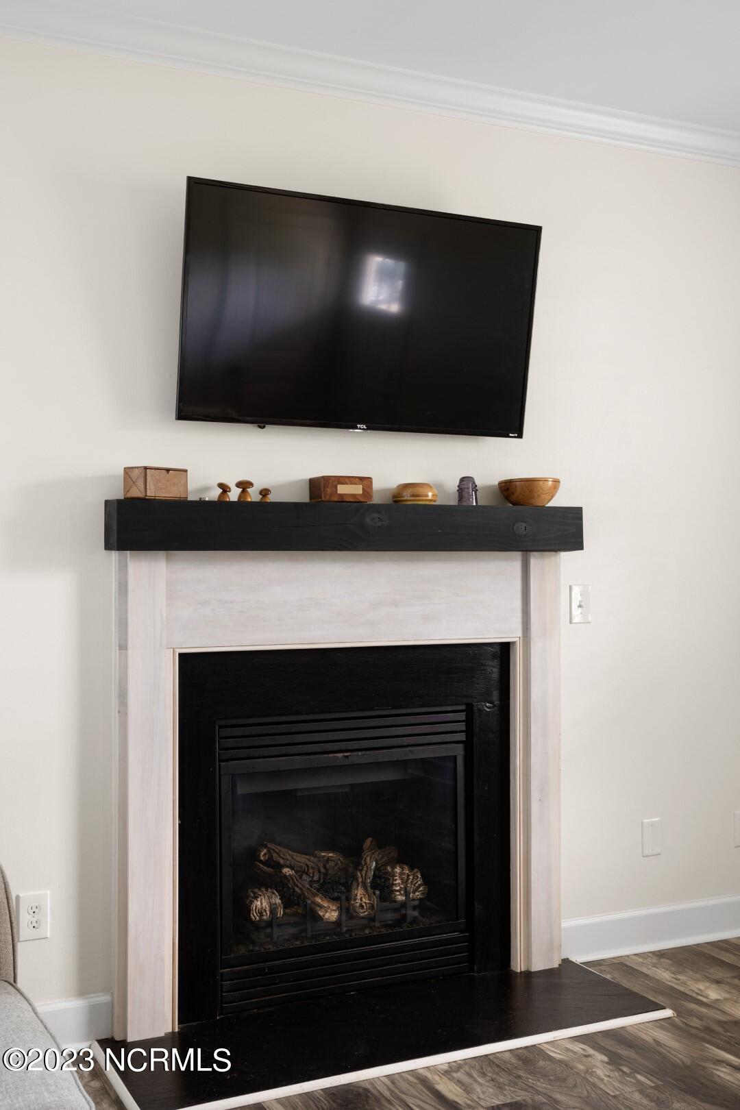 202 Contrail Road Hampstead, NC 28443 - Photo 9 of 30 Gas Fireplace