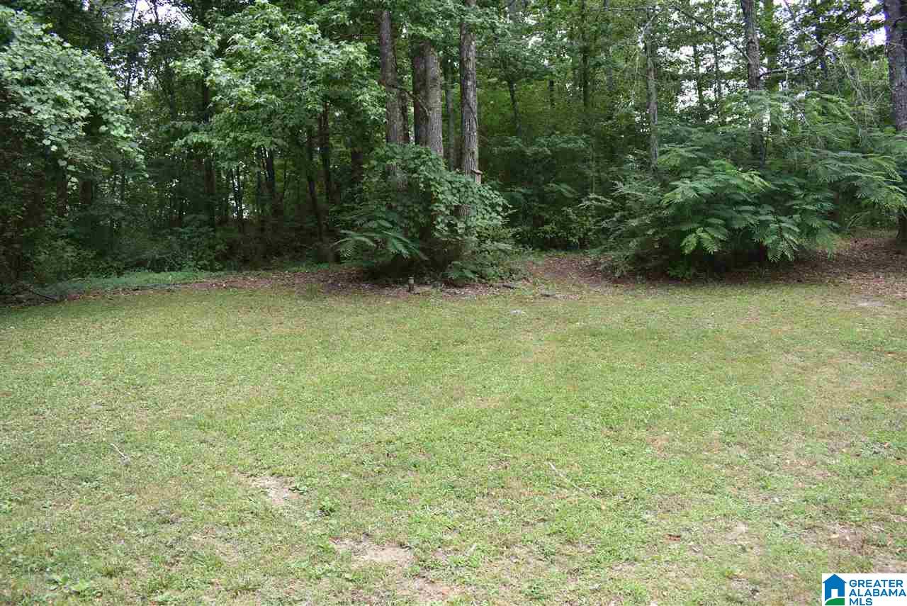 357 Seloca Road Warrior, AL 35180 - Photo 21 of 23