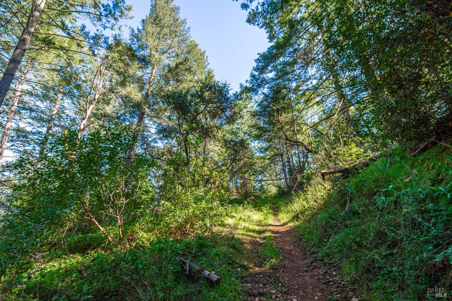 0 Dry Creek Road Napa, CA 94558 - Photo 72 of 98