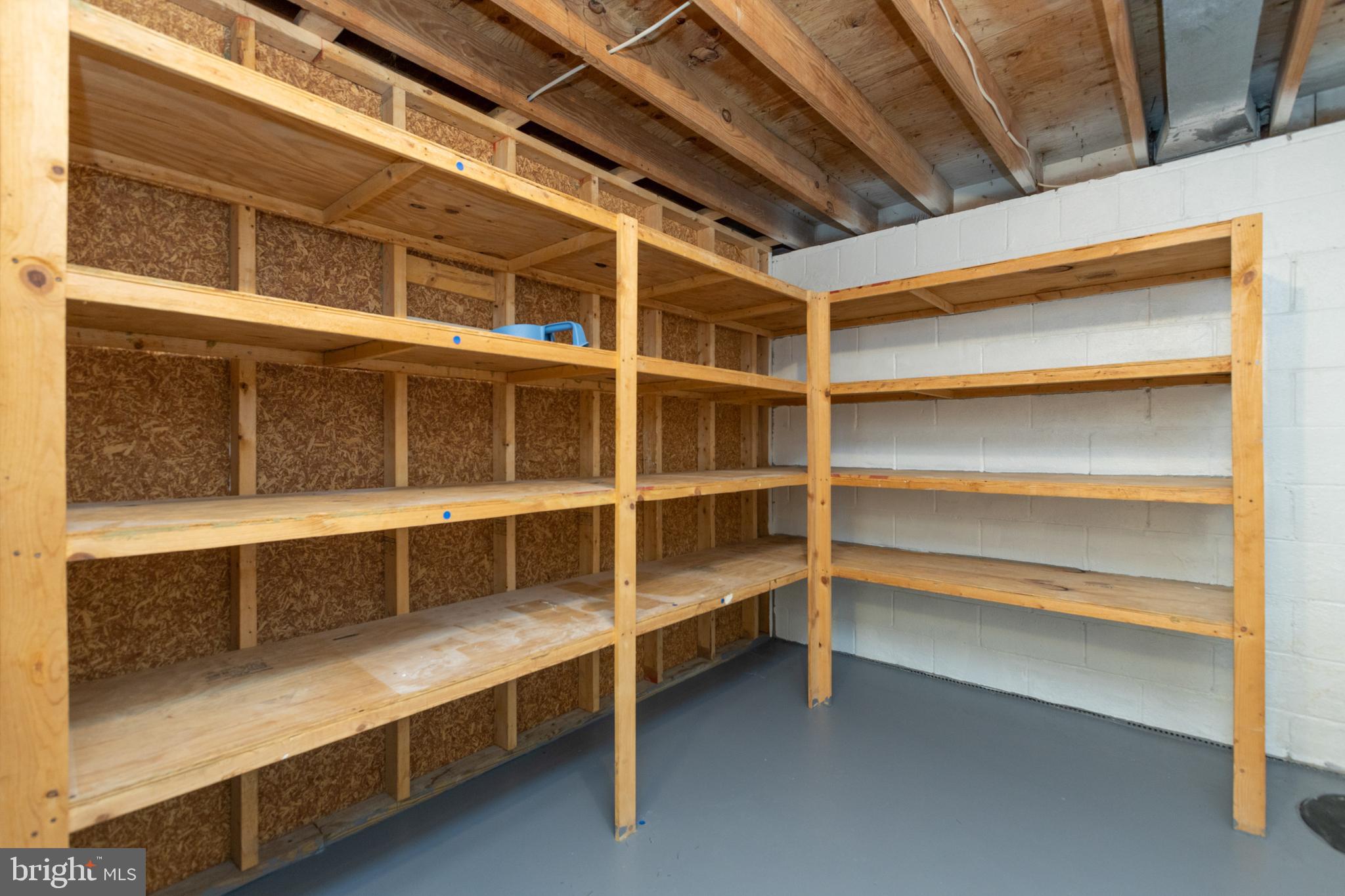 8238 Crown Court Road Alexandria, VA 22308 - Photo 49 of 57 Built in shelving on lower level