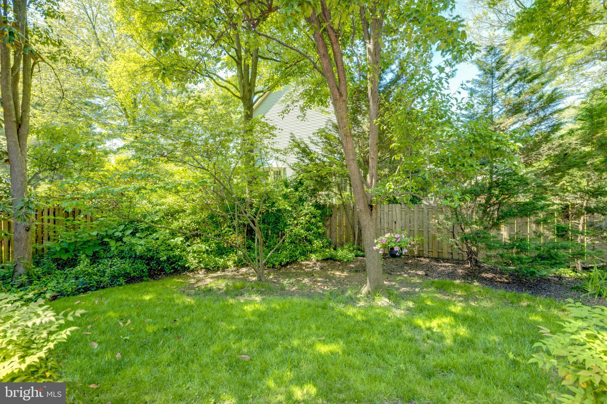 8238 Crown Court Road Alexandria, VA 22308 - Photo 51 of 57 Private, backyard oasis