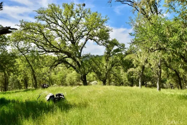 a view of backyard with green space