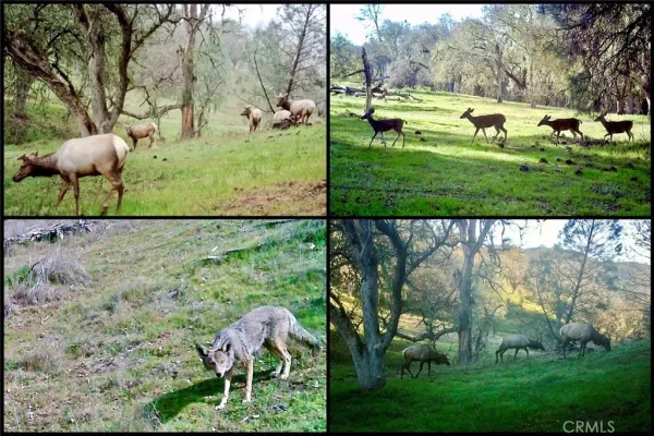 a view of a playground with green space