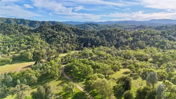 a view of a city with lush green forest