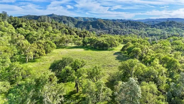 a view of a yard with an outdoor seating