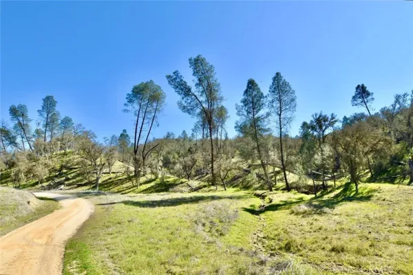 a view of swimming pool with a yard