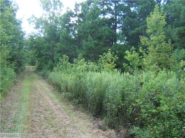3124 New Cut Road Lexington, NC 27292 - Photo 6 of 9 Land/Lot. Road going into property.