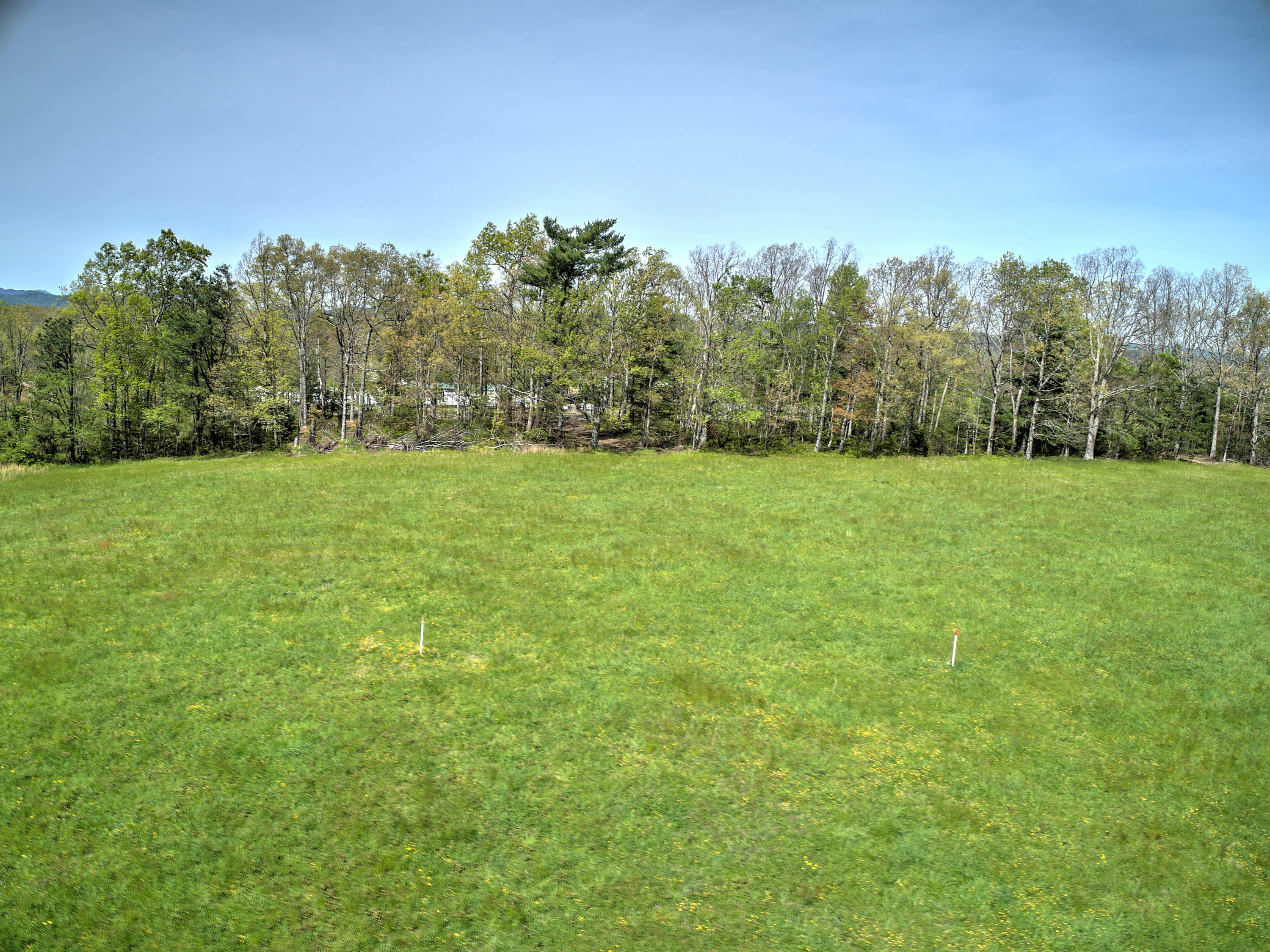 4 Colyer Road Greeneville, TN 37743 - Photo 4 of 29 Colyer Rd-4