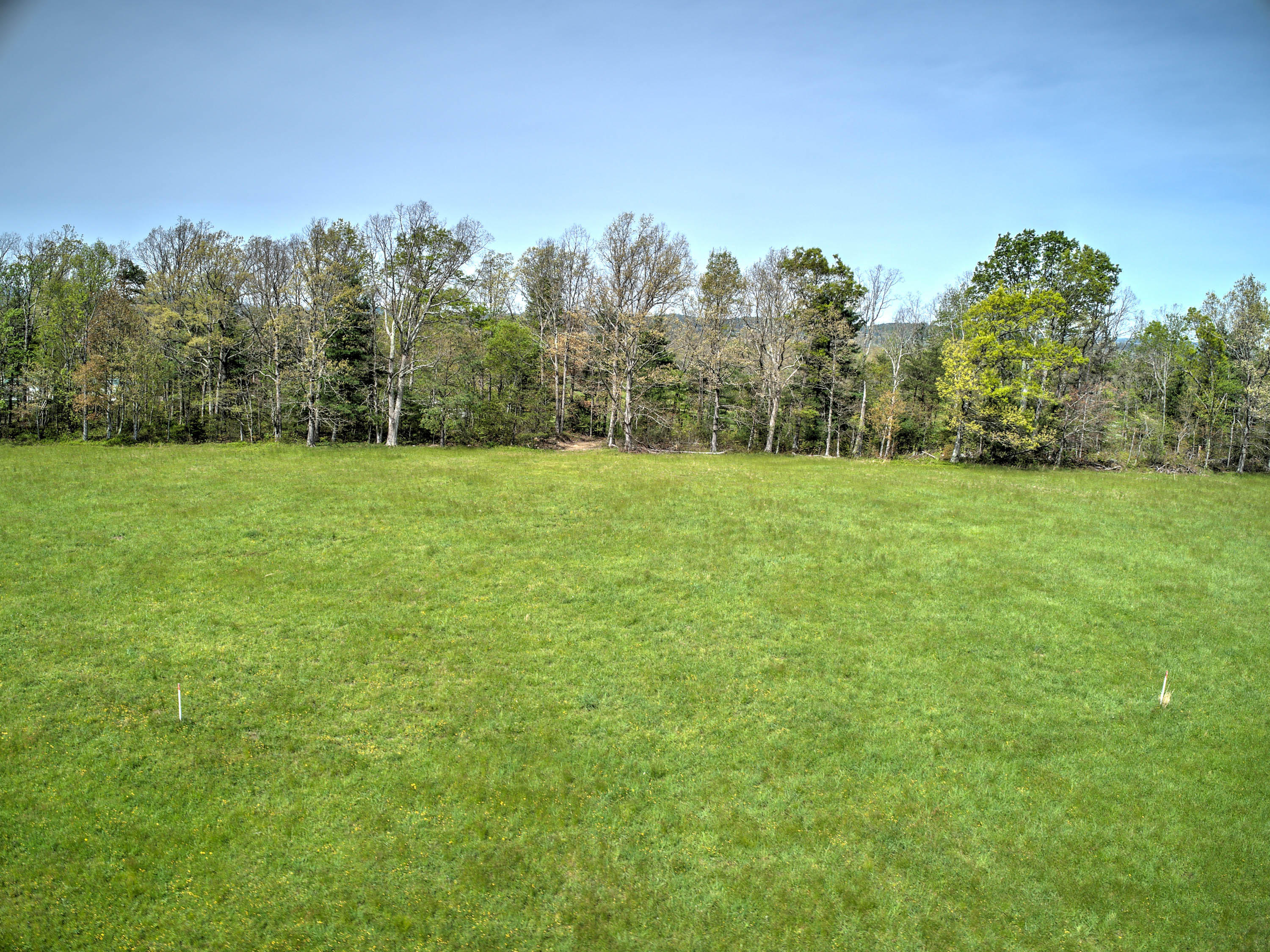 4 Colyer Road Greeneville, TN 37743 - Photo 7 of 29 Colyer Rd-7