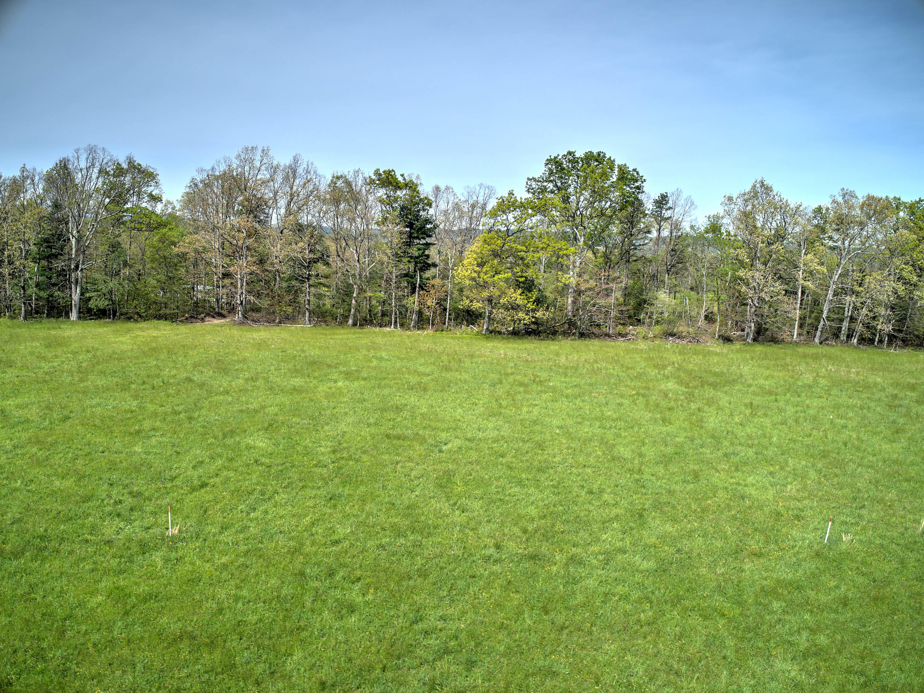 4 Colyer Road Greeneville, TN 37743 - Photo 8 of 29 Colyer Rd-8