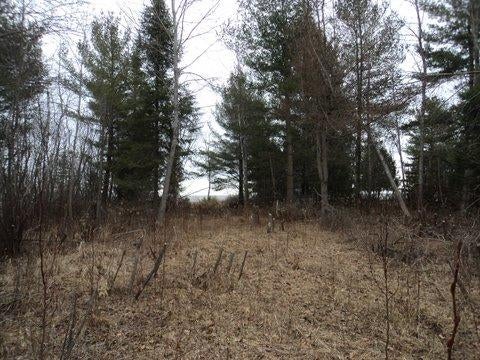 North Ridge Road Black River, MI 48721 - Photo 14 of 17 Gallery Image 14