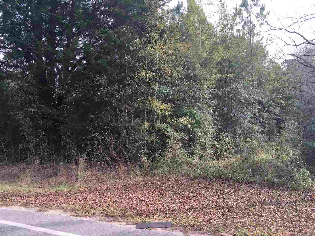 9360 Bryants Landing Road Stockton, AL 36579 - Photo 3 of 9