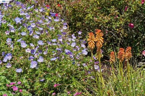 $1,795,000 | 5842 Highwood Road, Castro Valley, CA 94552