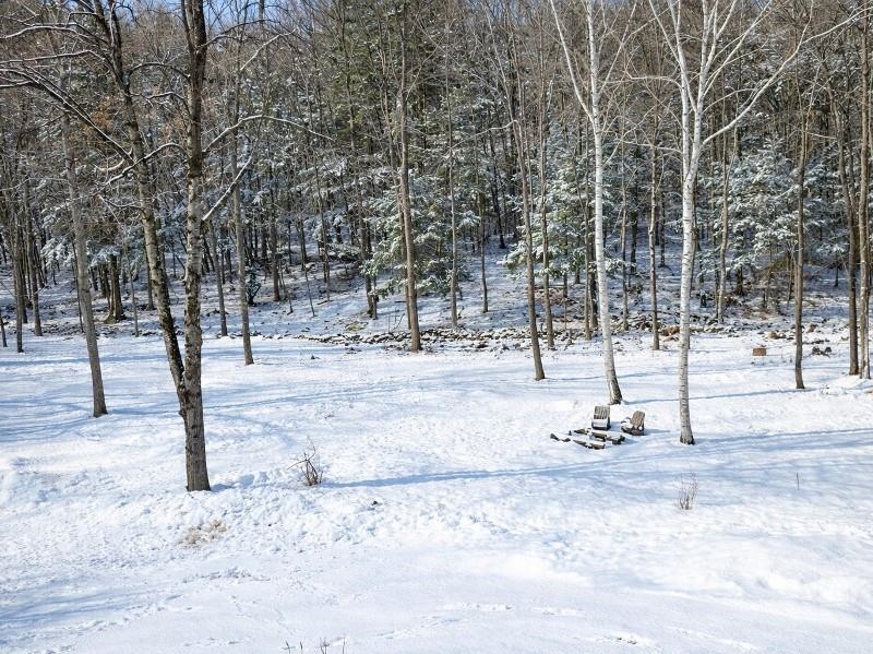 692 Old Walpole Road Surry, NH 03431 - Photo 67 of 71