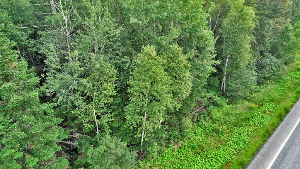 Lot 16 Rt 163 Presque Isle Road Ashland, ME 04732 - Photo 17 of 18 rt-227-ashland-me-land