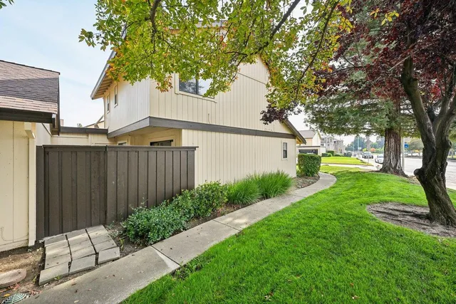 a view of a backyard with plants and large trees