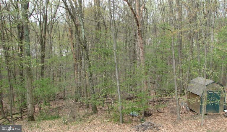 24510 Fossen Road Damascus, MD 20872 - Photo 18 of 20 Deck - View from