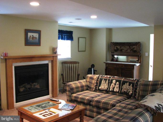 24510 Fossen Road Damascus, MD 20872 - Photo 9 of 20 Recreation Room