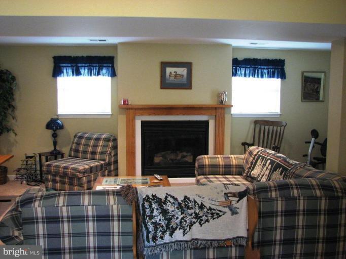 24510 Fossen Road Damascus, MD 20872 - Photo 10 of 20 Recreation Room #2