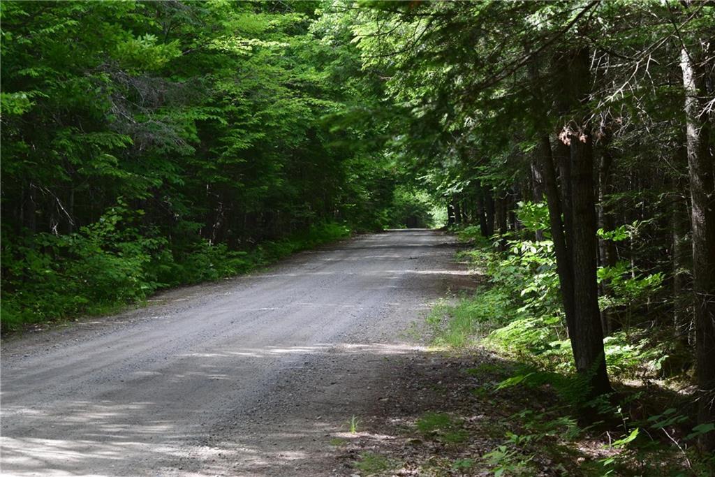 37 Escutarsis Road Lowell, ME 04493 - Photo 12 of 13 Maine Land for Sale in Lowell