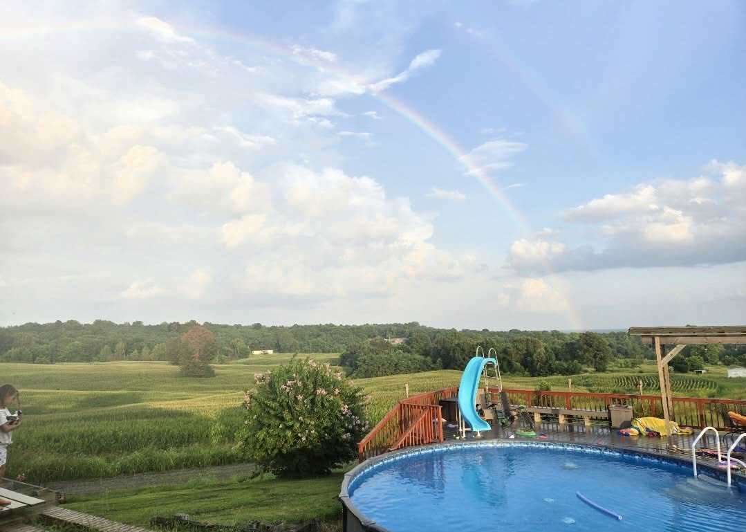 5488 Tick Ridge Road Grand Chain, IL 62941 - Photo 13 of 47 a view of a lake with a city view