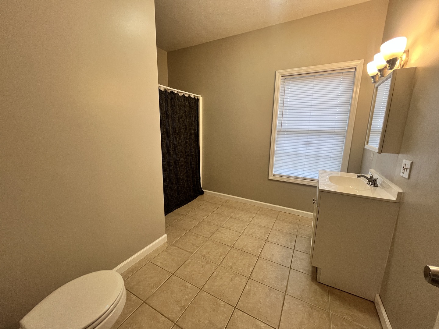 5488 Tick Ridge Road Grand Chain, IL 62941 - Photo 34 of 47 a bathroom with a sink toilet and mirror