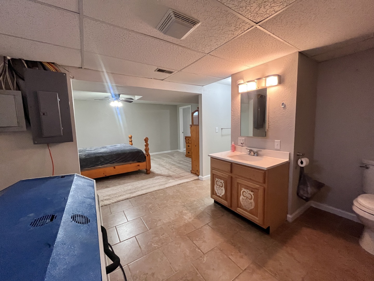 5488 Tick Ridge Road Grand Chain, IL 62941 - Photo 39 of 47 a bathroom with double vanity sink and mirror