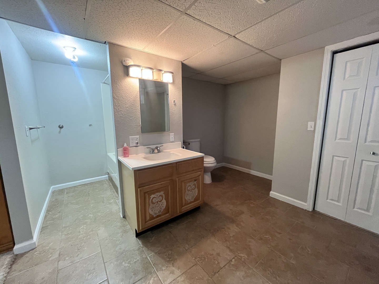 5488 Tick Ridge Road Grand Chain, IL 62941 - Photo 41 of 47 a bathroom with a sink vanity and mirror