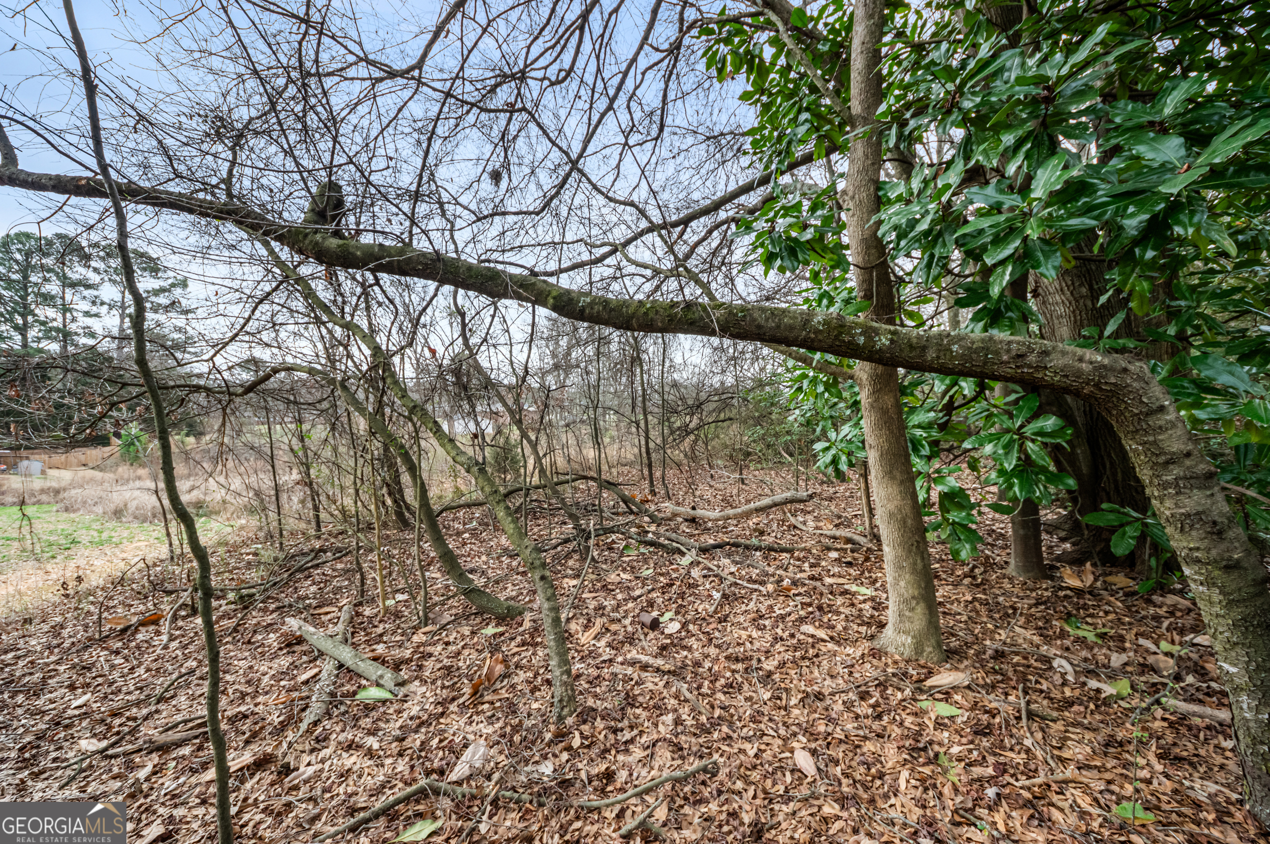 0 Fairview Station Hartwell, GA 30643 - Photo 2 of 19