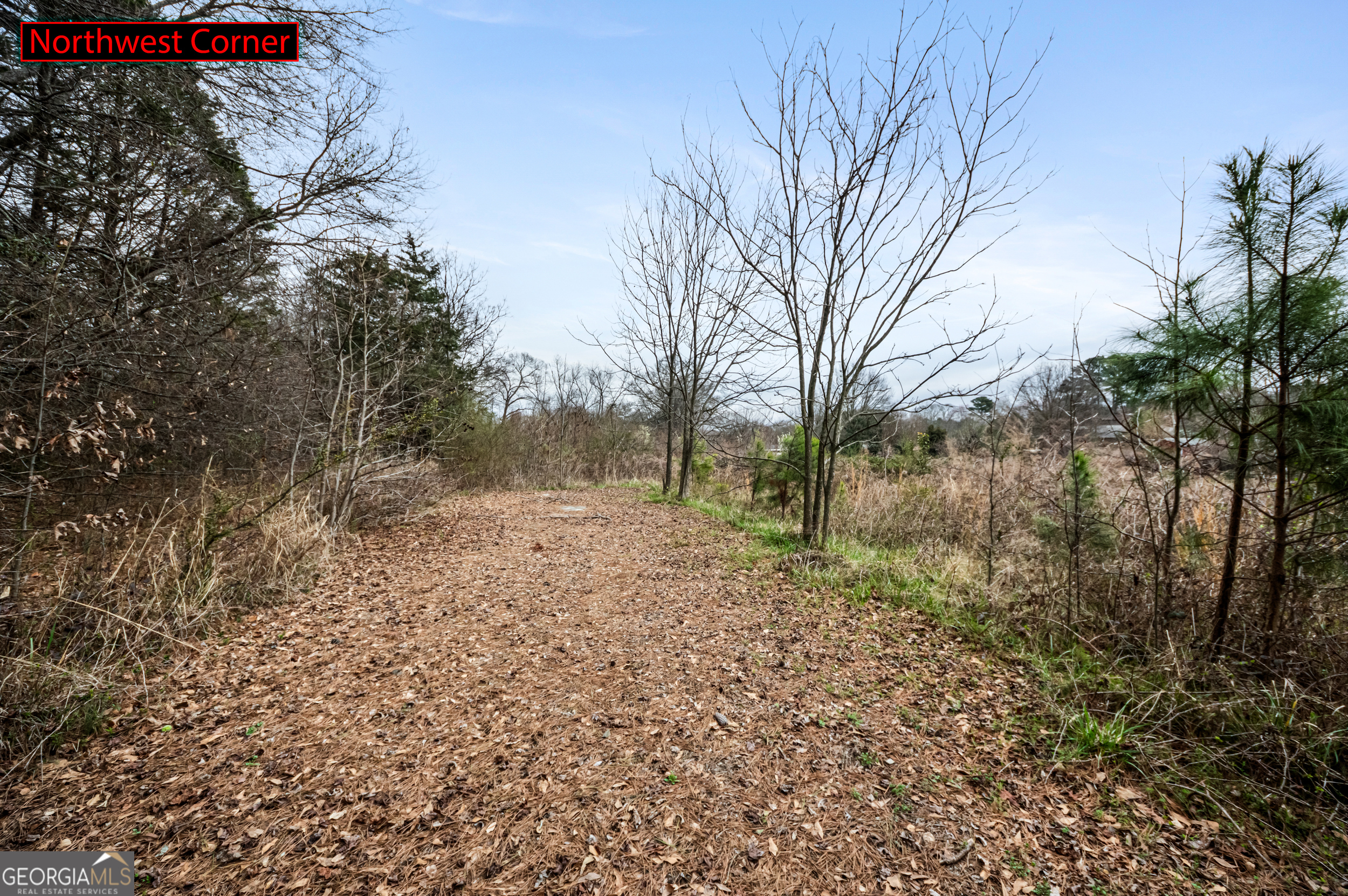 0 Fairview Station Hartwell, GA 30643 - Photo 3 of 19