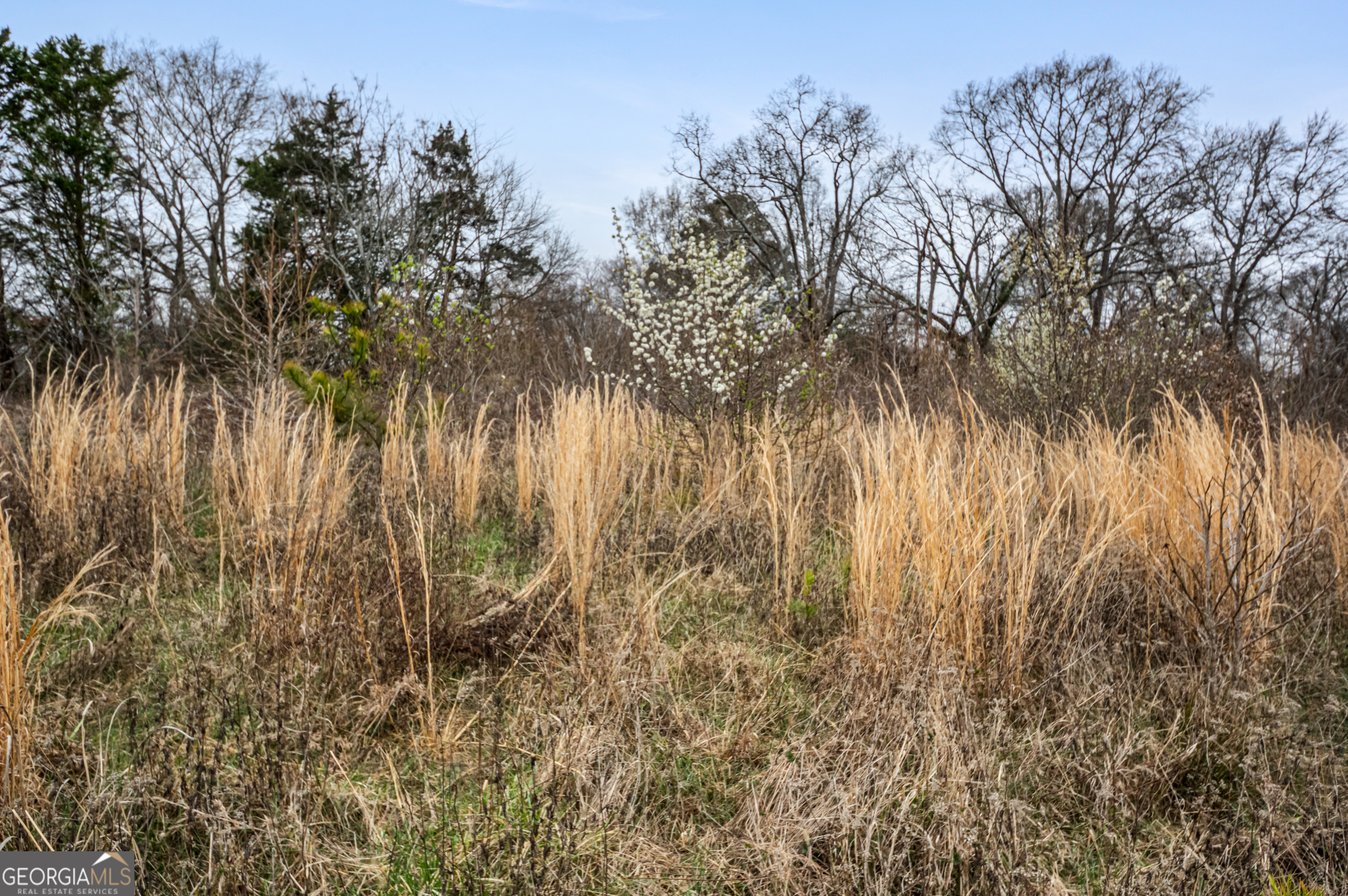 0 Fairview Station Hartwell, GA 30643 - Photo 7 of 19