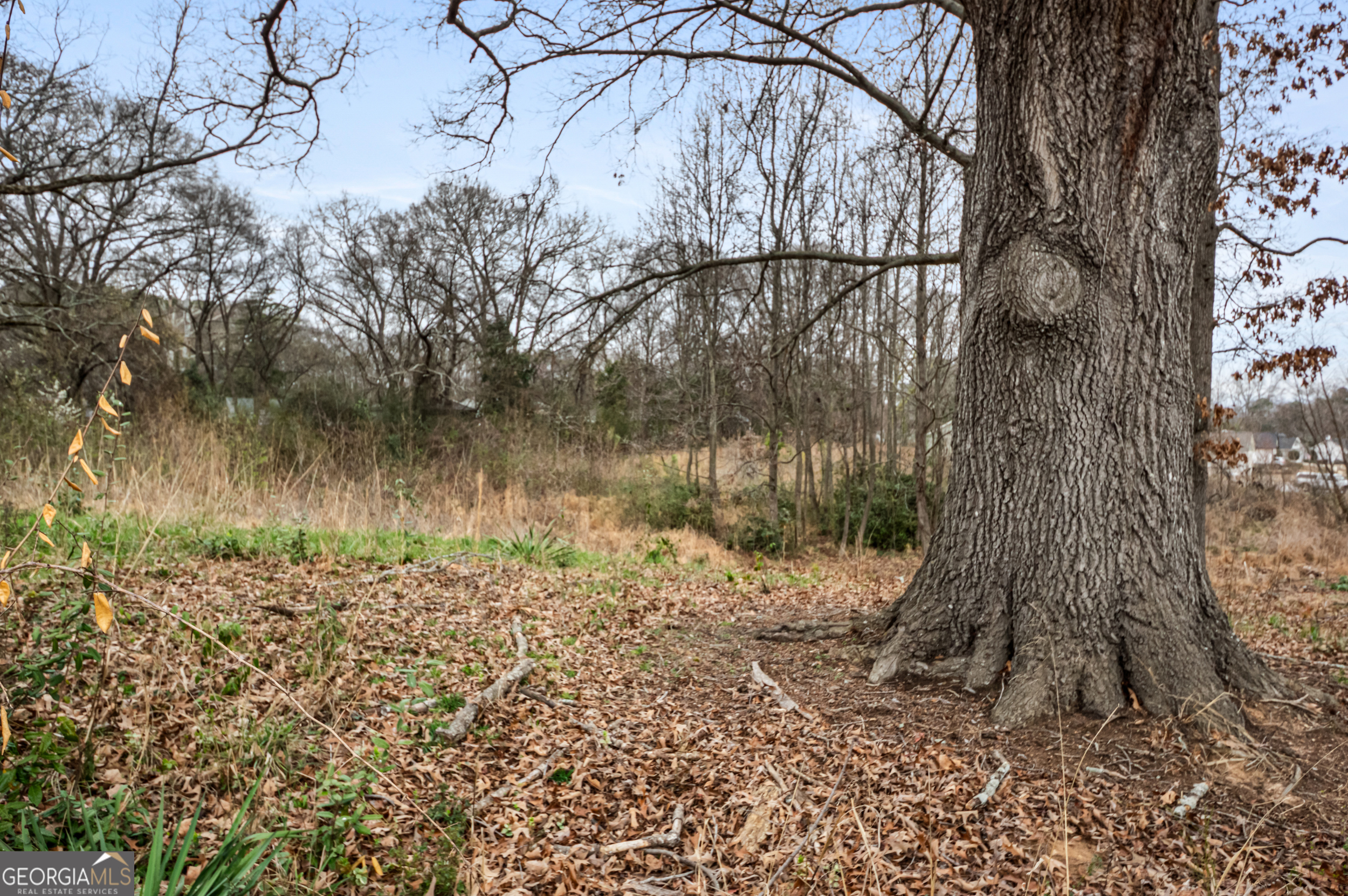 0 Fairview Station Hartwell, GA 30643 - Photo 8 of 19
