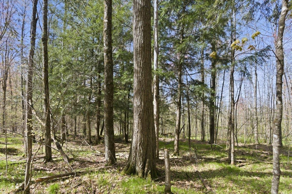 W585 Strucker Road Ogema, WI 54459 - Photo 15 of 55