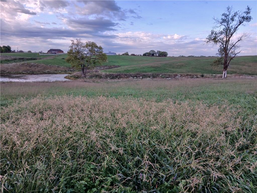 Lot 1 Bruns Road Richmond, MO 64085 - Photo 6 of 15