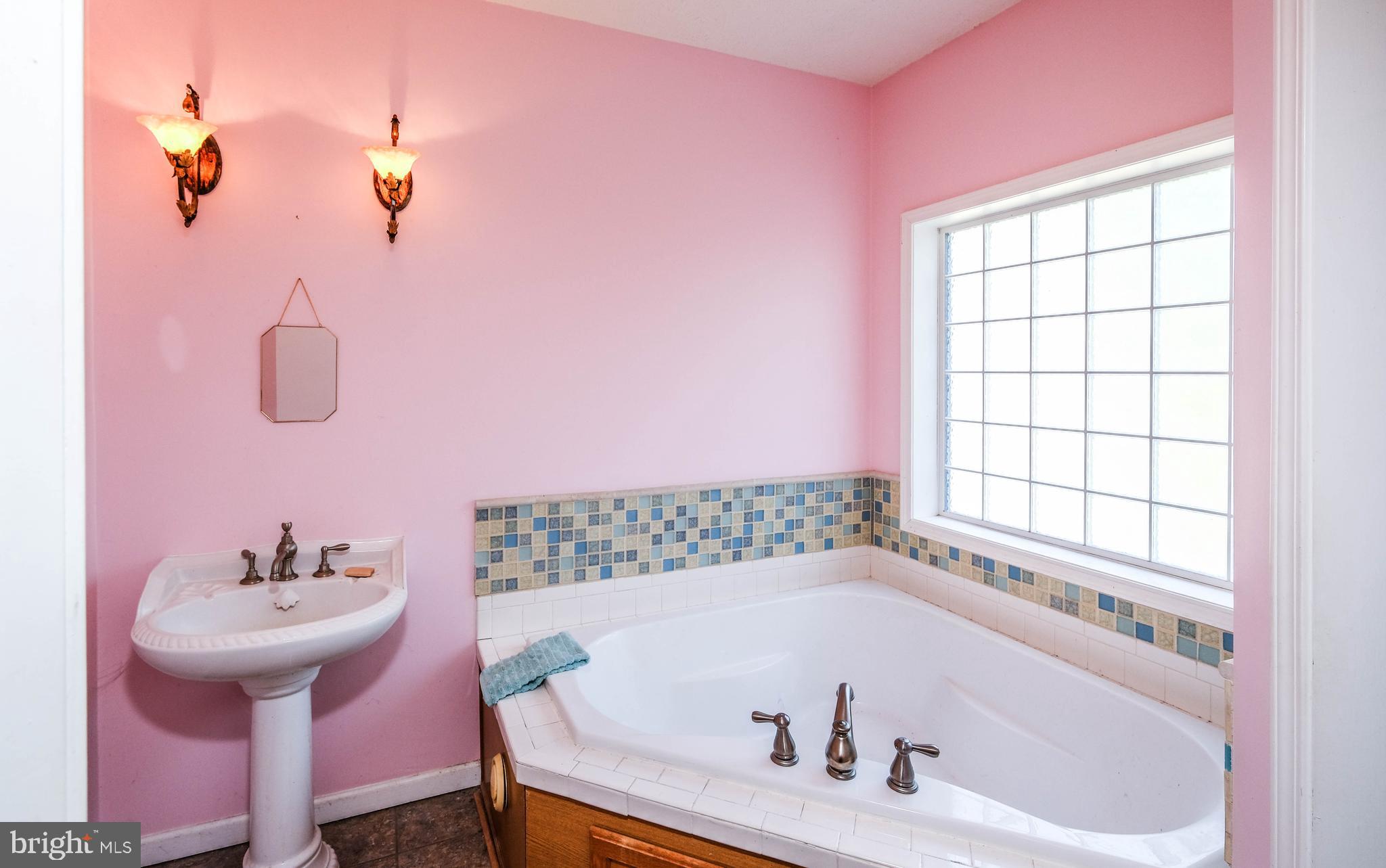 1195 Shangri-La Road Bentonville, VA 22610 - Photo 29 of 64 a bath tub sitting next to a bathroom sink