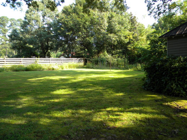 225 Branch Street Spring Spring Spring Hope, NC 27882 - Photo 21 of 22 Additional Photo