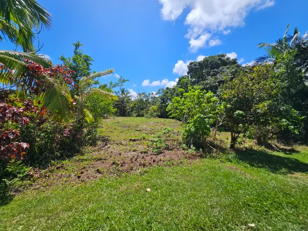 $35,000 | 15-741 Lot 206 Puni Mauka Loop, Pahoa, HI 96778