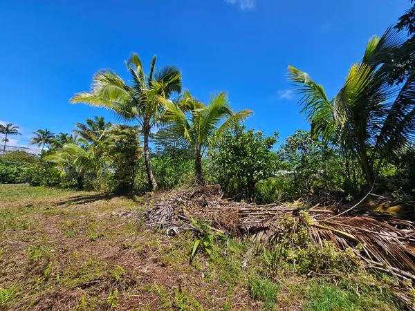 $35,000 | 15-741 Lot 206 Puni Mauka Loop, Pahoa, HI 96778