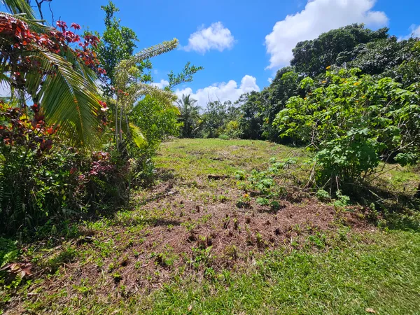 $35,000 | 15-741 Lot 206 Puni Mauka Loop, Pahoa, HI 96778