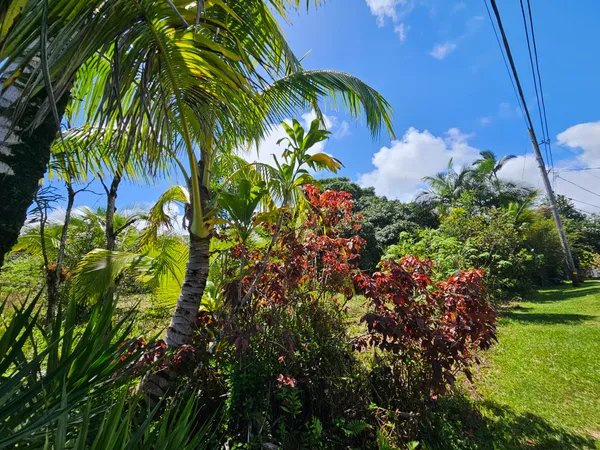 $35,000 | 15-741 Lot 206 Puni Mauka Loop, Pahoa, HI 96778