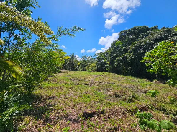 $35,000 | 15-741 Lot 206 Puni Mauka Loop, Pahoa, HI 96778