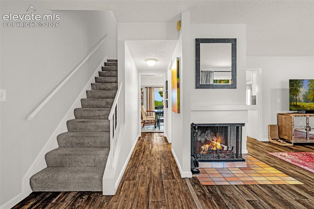 313 Raspberry Lane Monument, CO 80132 - Photo 3 of 26