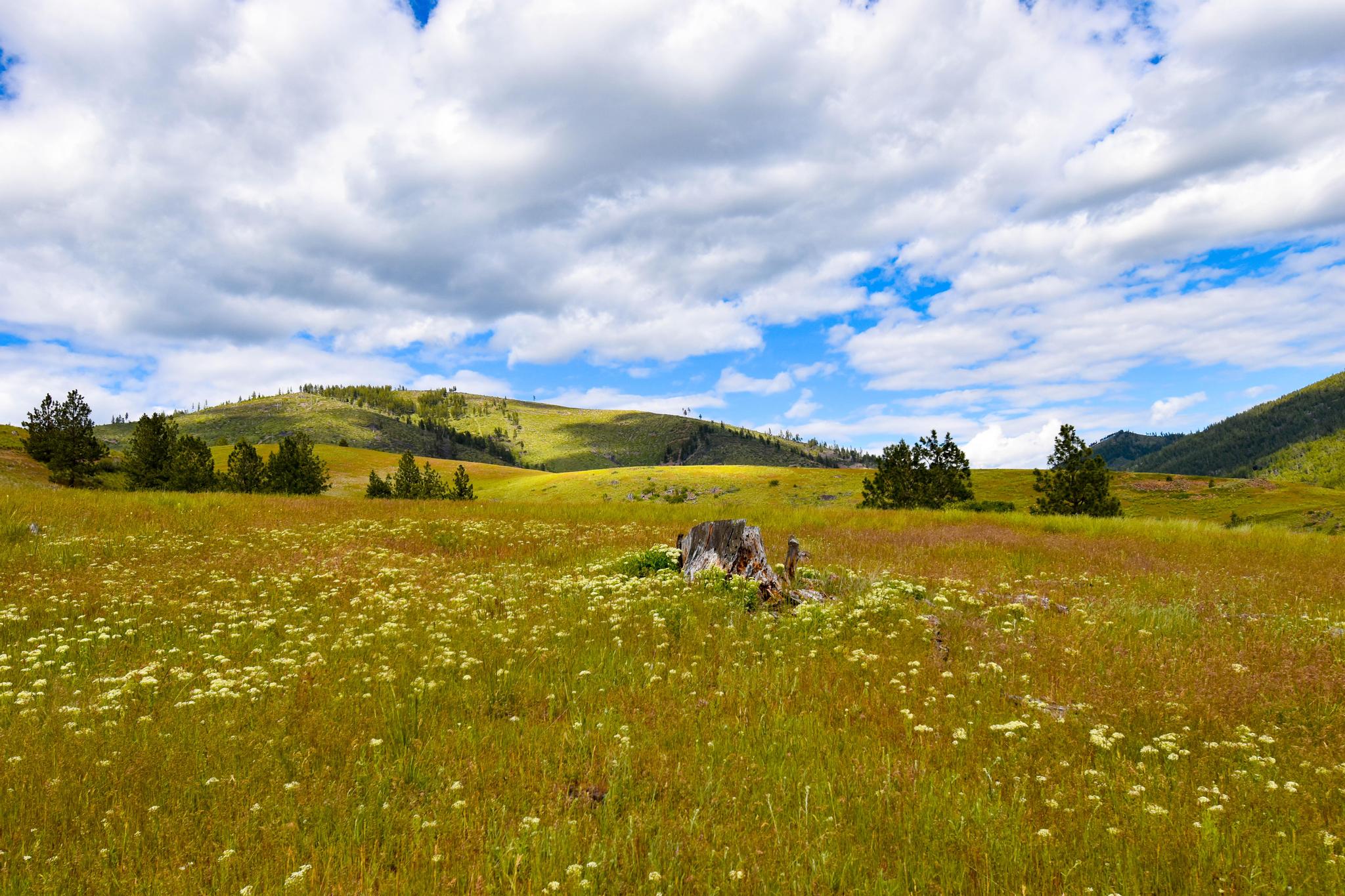 2 Henry Creek Road Plains, MT 59859 - Photo 1 of 40 Gallery Image 1