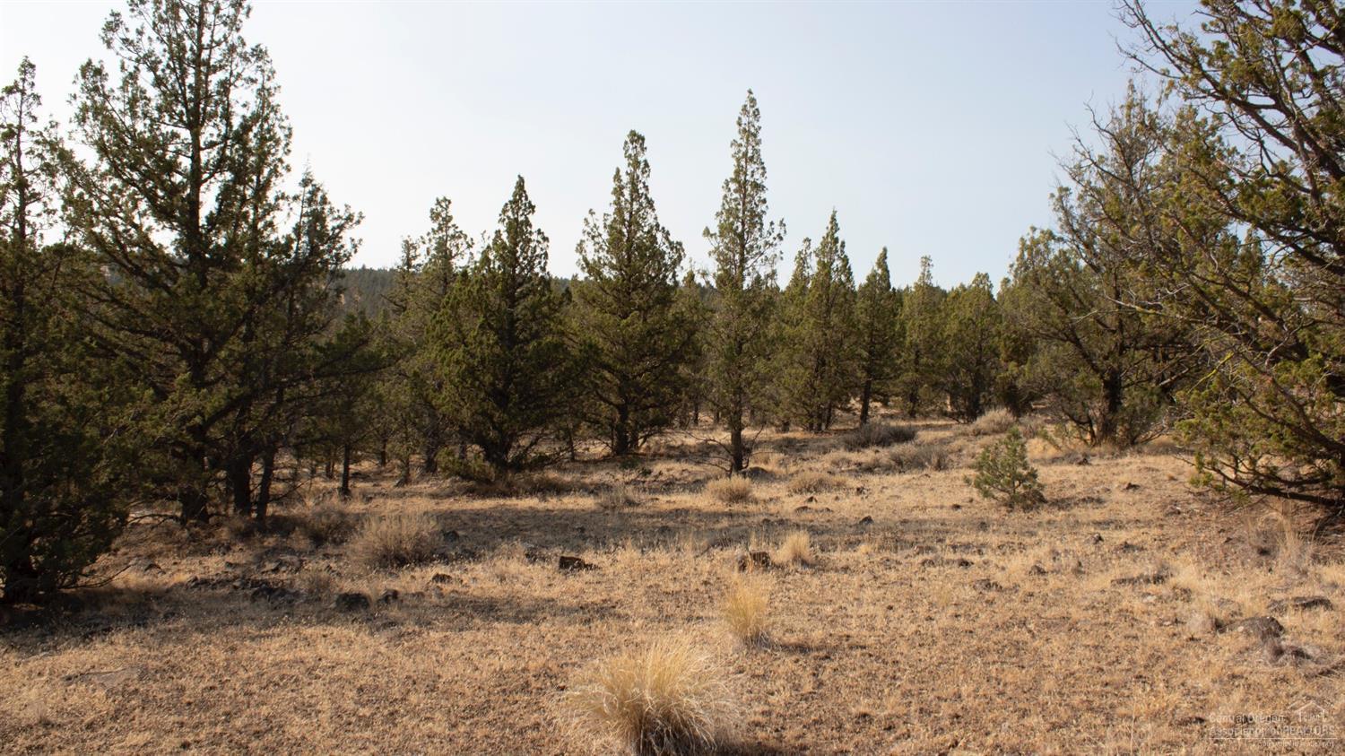 0 Southeast Grant Road Prineville, OR 97754 - Photo 4 of 9 Additional Photo