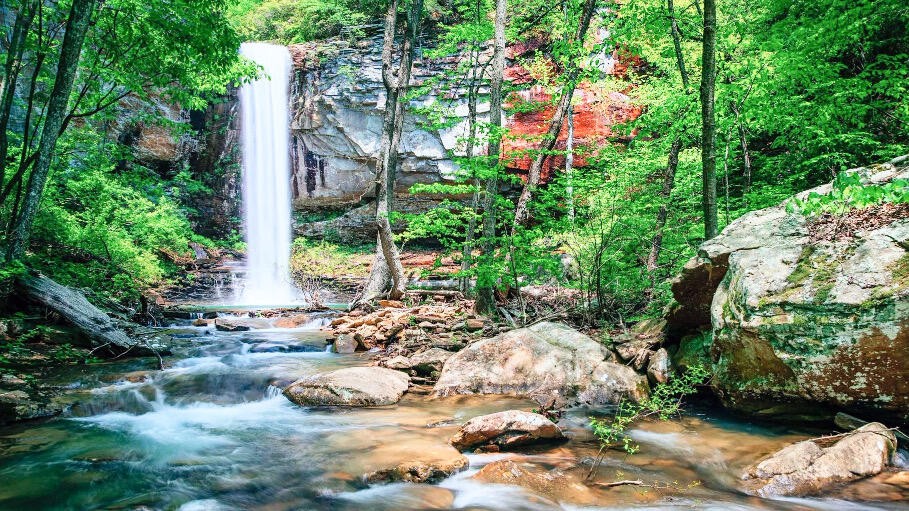 0 Clubhouse Drive Rising Fawn, GA 30738 - Photo 8 of 29