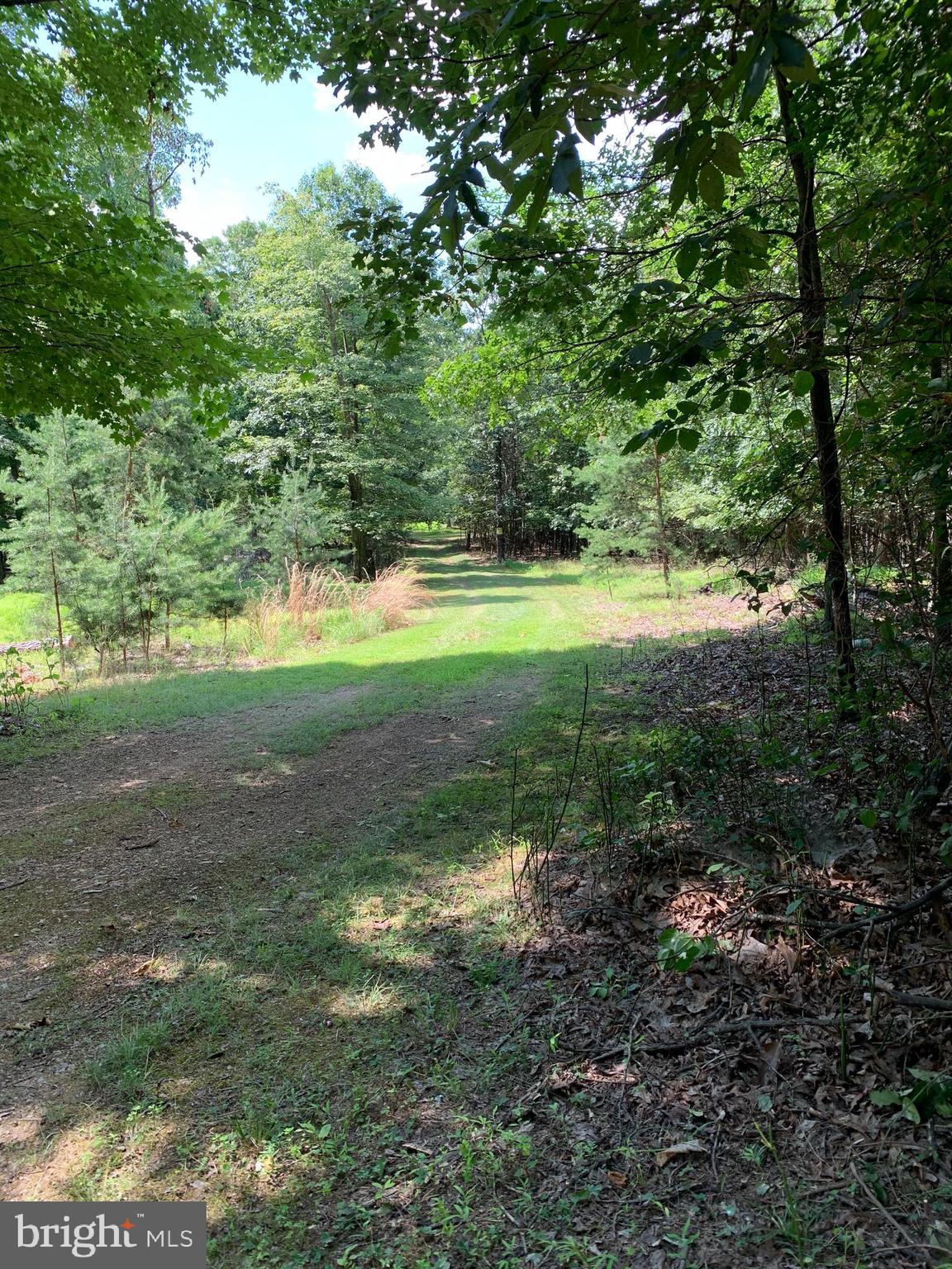 Lot 1 Timber Ridge Route Berkeley Springs, WV 25411 - Photo 1 of 74