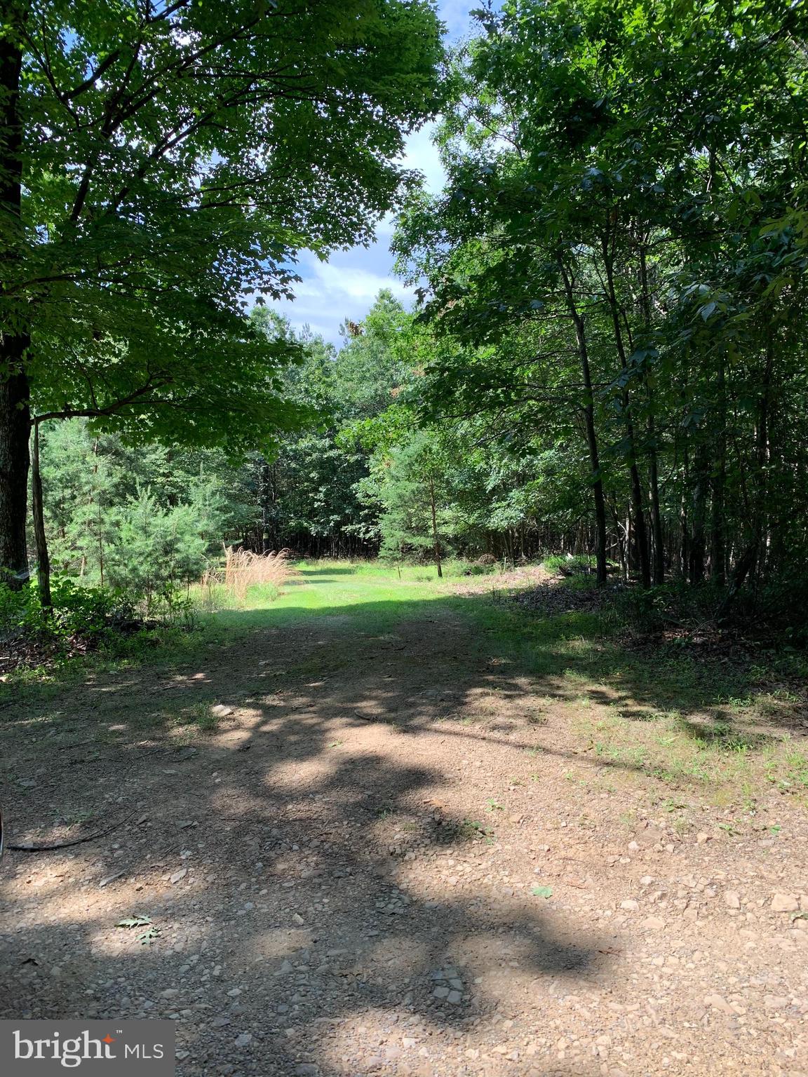 Lot 1 Timber Ridge Route Berkeley Springs, WV 25411 - Photo 2 of 74