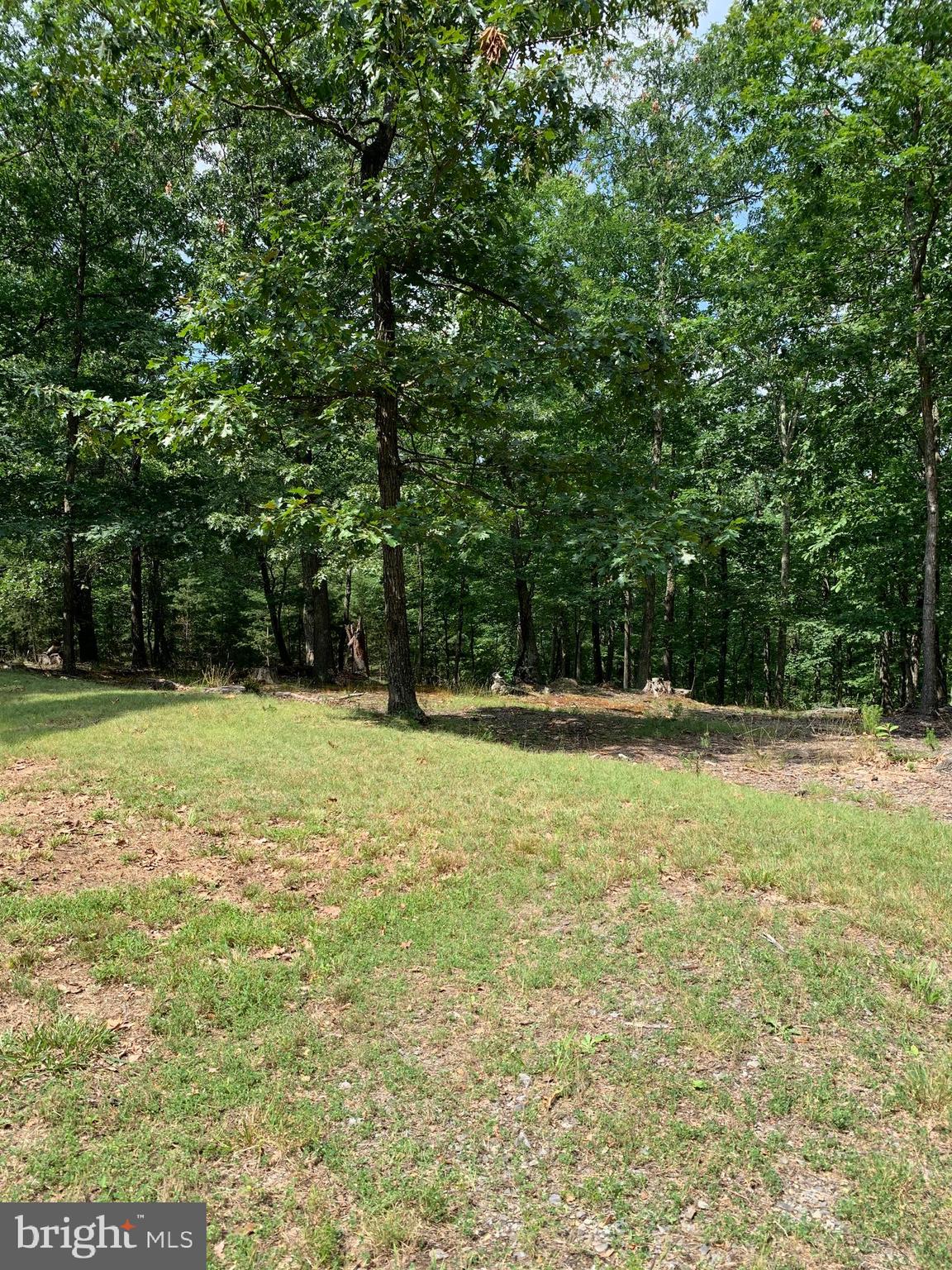 Lot 1 Timber Ridge Route Berkeley Springs, WV 25411 - Photo 11 of 74