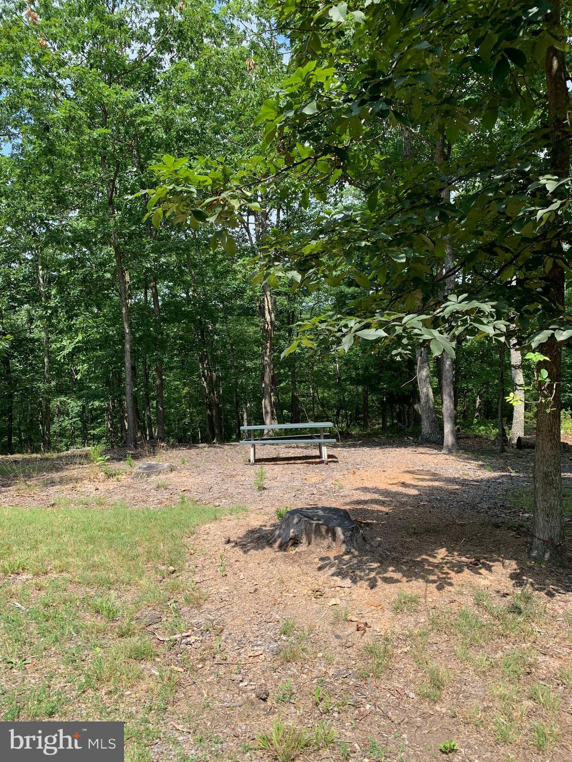 Lot 1 Timber Ridge Route Berkeley Springs, WV 25411 - Photo 12 of 74