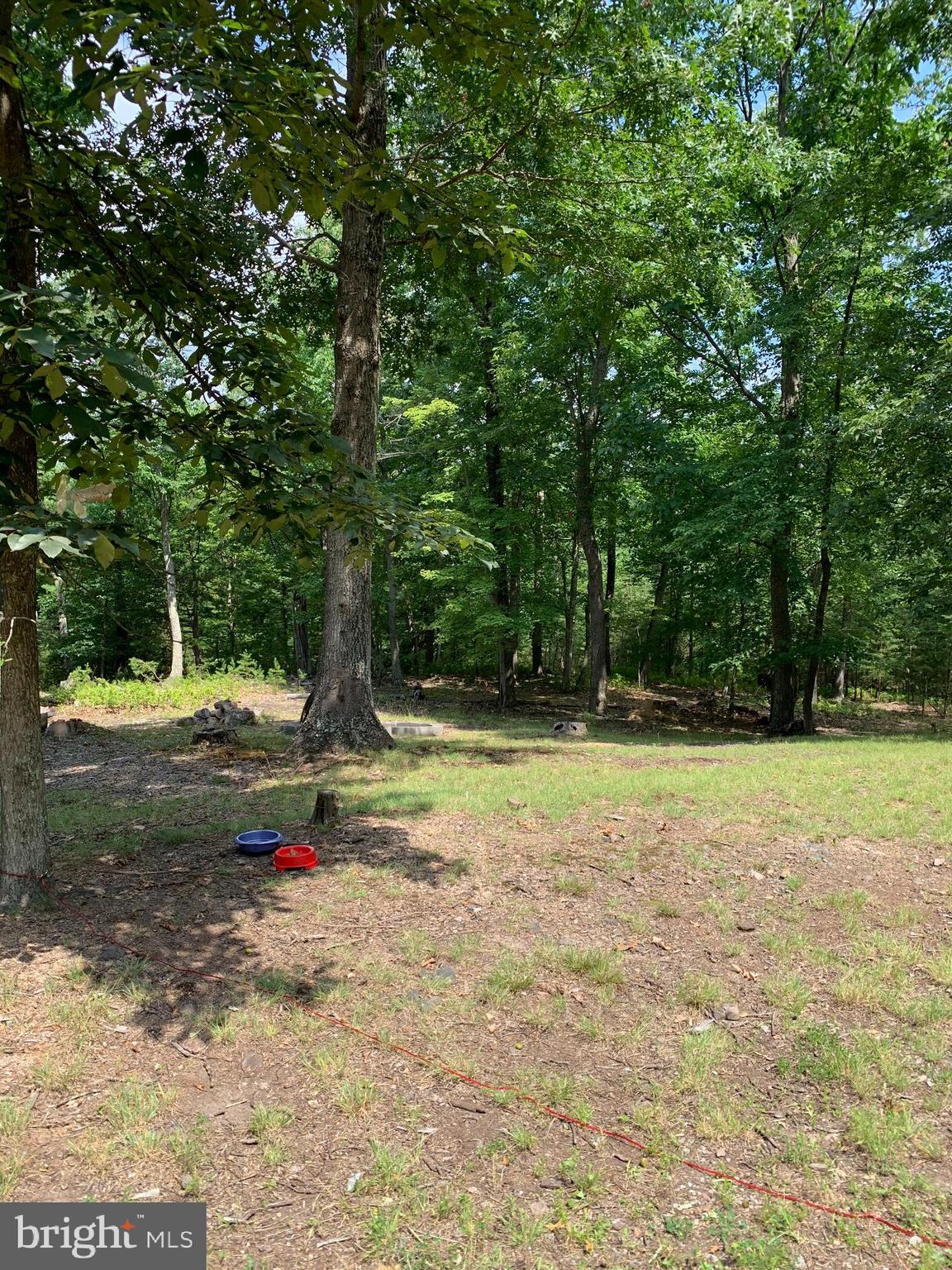 Lot 1 Timber Ridge Route Berkeley Springs, WV 25411 - Photo 13 of 74